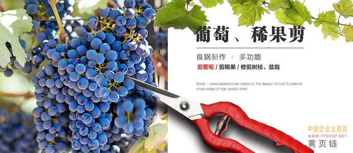广东不锈钢剪刀|阳江市志鸿五金制品有限公司